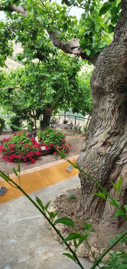 Casa Vacanze Fondaco Di Scillato Scillato  ภายนอก รูปภาพ