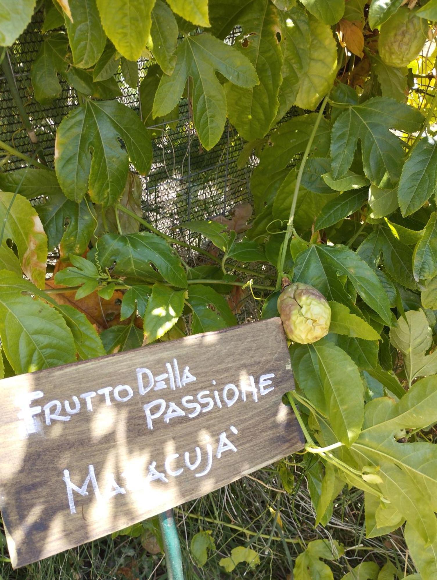 Casa Vacanze Fondaco Di Scillato Scillato  ภายนอก รูปภาพ