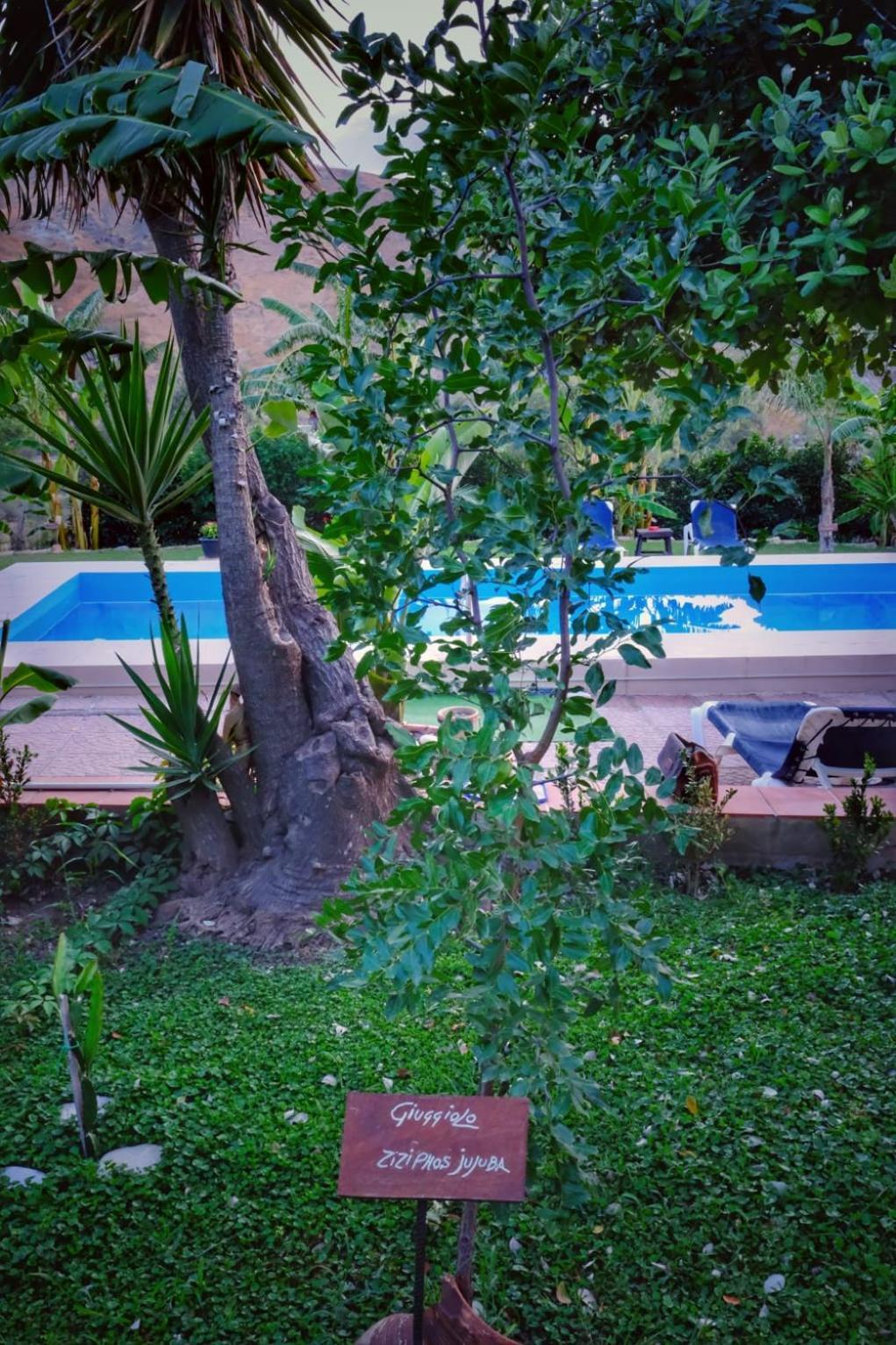 Casa Vacanze Fondaco Di Scillato Scillato  ภายนอก รูปภาพ